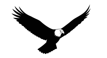 Obraz premium Majestic bald eagle soaring with outstretched wings against a white backdrop.