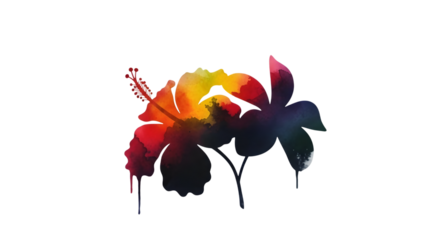 Hibiscus flowers isolated on transparent background, a colorful watercolor silhouette art