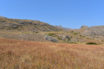 madagascar - andrigintra