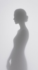 Female silhouette, elegant and quiet, minimalist aesthetic style