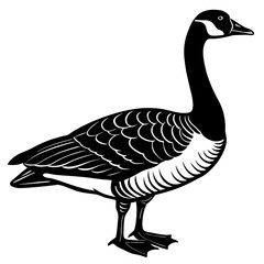 goose isolated on white background