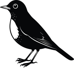 Detailed illustration of an american robin bird in flight or perched