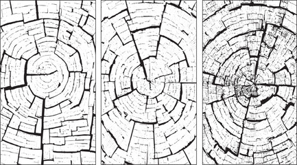 Distressed Grunge Texture Pattern. Different distressed black grain texture. Distress crack-wooden overlay vector textures Distressed overlay vector set design on transparent background.