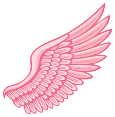 Fototapeta premium Pink Angel Wing with Detailed Feathers