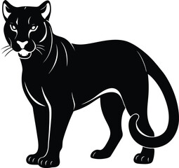 Majestic cougar mountain lion puma panther wild cat illustration
