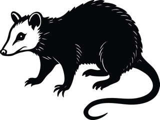 North american opossum wildlife illustration
