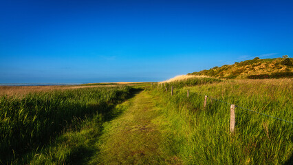 Sommer auf Sylt am Morsumer Kliff