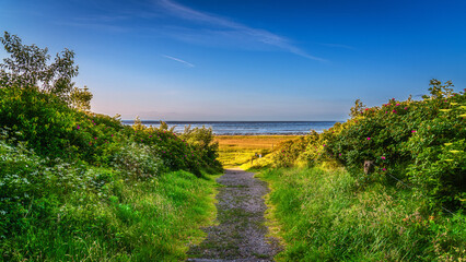 Sommer auf Sylt am Morsumer Kliff