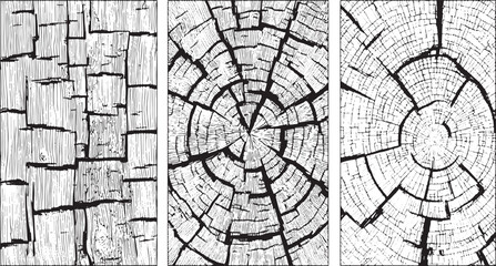 Obraz premium Black and White Vintage Wooden crack Concrete Wall Grunge set Texture Distressed Cracked Concrete Wall Texture Background Grunge Damaged Cement Surface vectors design on transparent background.