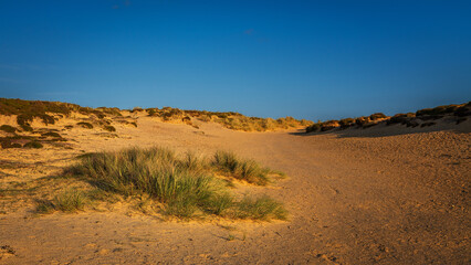 Sommer auf Sylt am Morsumer Kliff