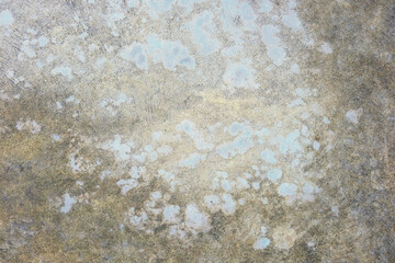 stone wall texture