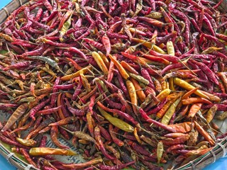 Close up of  large, assorted pile of dried chili peppers spread out on a traditional woven tray or basket, suggesting an outdoor drying process or market display.