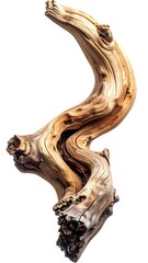 Isolated view of a weathered, spiraling wooden branch