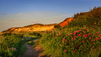 Sommer auf Sylt am Morsumer Kliff