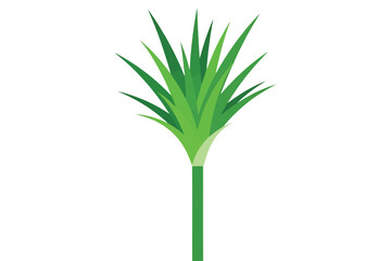 Illustration of a sugar cane plant, featuring its stalk and vibrant green leaves