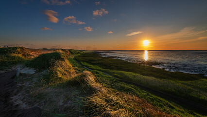 Sommer auf Sylt am Morsumer Kliff