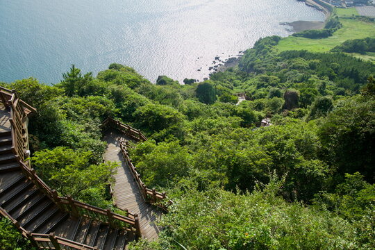 Wooden Staircases Down the Green Slope