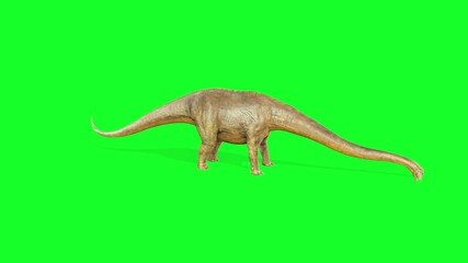 Anchisaurus Dinosaur  idle