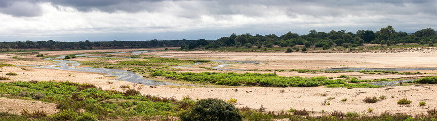 South Africa, Kruger National Park, Letaba River panoramic