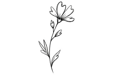 Vector art of delicate flower with stem and leaves vector line art illustration