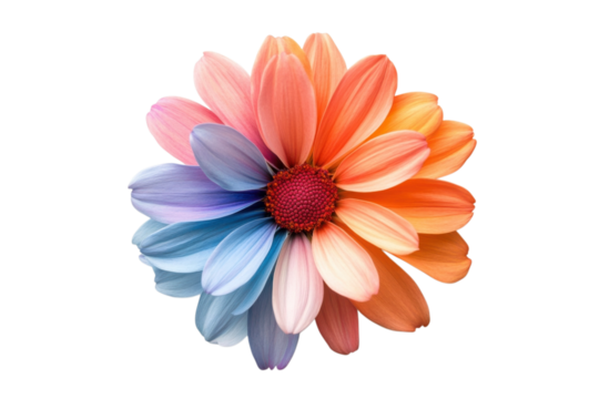 Colorful flower with gradient petals in shades of blue orange and pink blooms beautifully on transparent background - Powered by Adobe