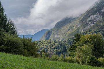 Fototapeta premium Green alpine slopes and forested valley under clouds in Illegio, Friuli Venezia Giulia, Italy. A peaceful landscape of early autumn light.