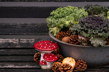 Autumnal Arrangement Kale Pine Cones and a Mushroom Ornament