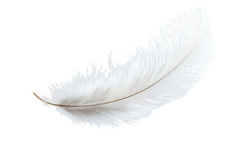 Obraz premium Delicate white feather floats gently against a stark in a minimalist composition on transparent background
