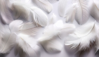 Obraz premium Soft Feathers Scattered On White Background Create A Tranquil Atmosphere Delicate Feathers Symbolize Lightness And Freedom Enhancing Natural Beauty In Decor Or Design