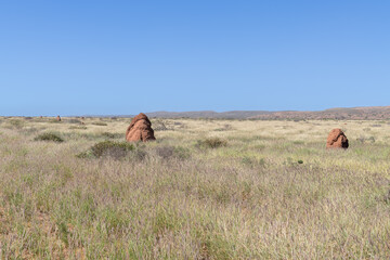 Termite mounds in the desert Cape Range National Park, Western Australia, Australia