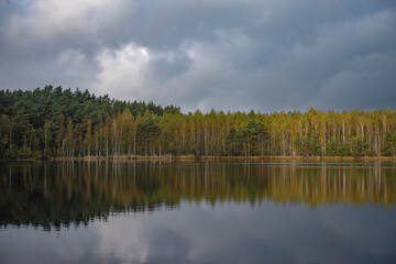 forest lake golden in autumn