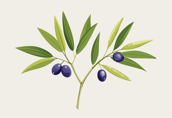 Stylized Watercolor Illustration of an Olive Branch with Ripe Olives on a Simple Background