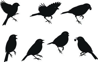 Set of Black Bird Silhouettes in Various Poses – Flying, Perching, Holding Objects, Wildlife, Nature, Vector, Minimal, Isolated, Graphic