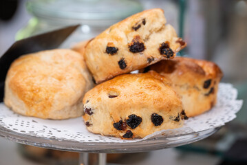 Freshly baked raisin scones are displayed on a cake stand, ready to be enjoyed with tea.