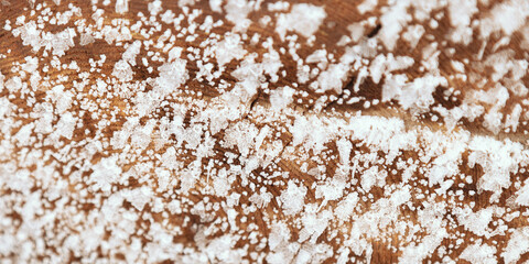 Slice of wood with tree rings and frost snow crystals as natural geometric pattern, minimal aesthetic abstract nature wide banner. Natural wooden organic textures and shapes, white brown beige color