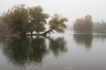 Morning mist over the lake.