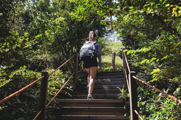Hallasan National Park, Jeju island, South Korea, vibrant view of trail with a wooden ladder path stairs, trekking and climbing, stairway to Halla mountain summit, hiking in Korea, Jeju-do, sunny day