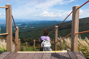 Hallasan National Park, Jeju island, South Korea, vibrant view of trail with a wooden ladder path stairs, trekking and climbing, stairway to Halla mountain summit, hiking in Korea, Jeju-do, sunny day © tsuguliev