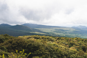 Hallasan National Park, Jeju island, South Korea, vibrant view of trail with a wooden ladder path stairs, trekking and climbing, stairway to Halla mountain summit, hiking in Korea, Jeju-do, sunny day