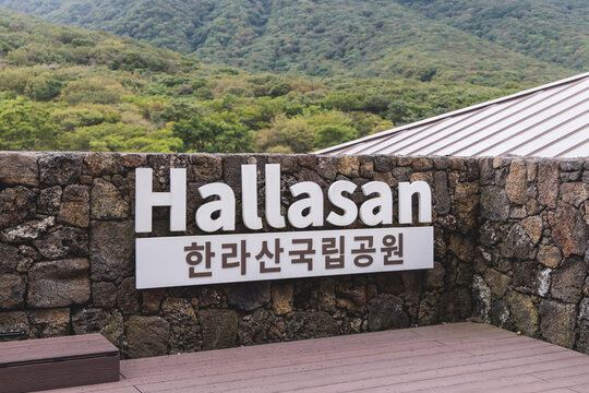 Hallasan National Park, Jeju island, South Korea, vibrant view of trail with a wooden ladder path stairs, trekking and climbing, stairway to Halla mountain summit, hiking in Korea, Jeju-do, sunny day - Powered by Adobe