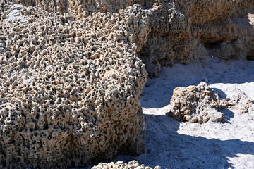 The texture of a porous rock on a beach Lazzaretto (Spiaggia del Lazzaretto), Sardinia, Italy. A rock that looks like a fossilized sponge or coral reef.