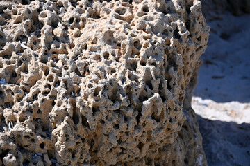 The texture of a porous rock on a beach Lazzaretto (Spiaggia del Lazzaretto), Sardinia, Italy. A rock that looks like a fossilized sponge or coral reef.
