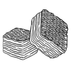 Wafer biscuit vector line art hand drawn illustration 