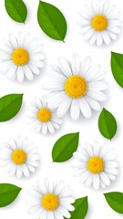 Daisy Flower Pattern - Fresh Spring Floral Design on White Background.