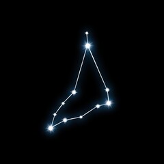 Capricorn Constellation, zodiac sign on starry sky. Astrology, astronomy, horoscope, for science, education