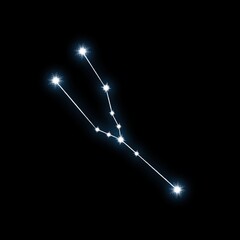 Taurus constellation in the night starry sky, illustration