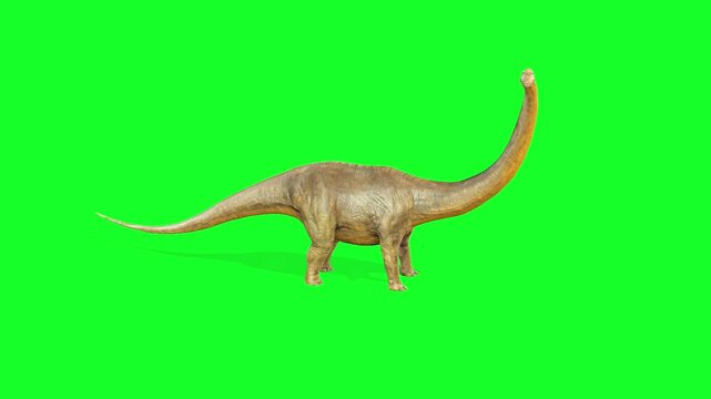 Anchisaurus Dinosaur looking idle