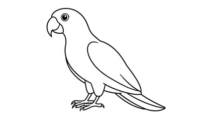 Fototapeta premium Outline drawing of a parrot