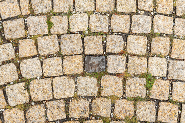 Stone pavement with grass and contrasting tile