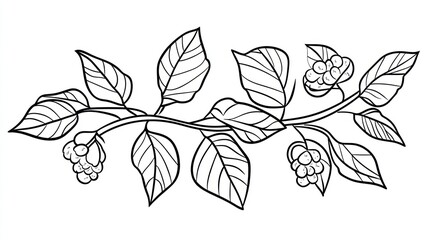 Line art branch with leaves and berries, suitable for floral design, decoration, or coloring
